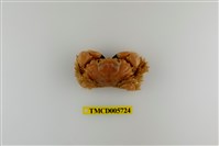 藏品(楊氏近扇蟹)的圖片